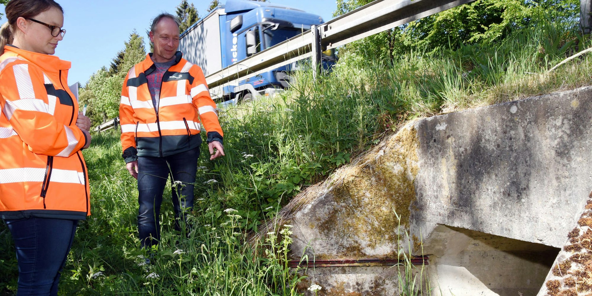 Leitanlage für Frösche