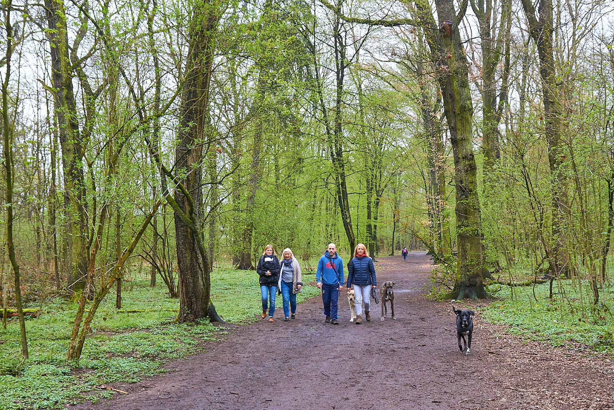 tier0_2018_04_24_MDS-KSTA-2018-04-24-71-131506589