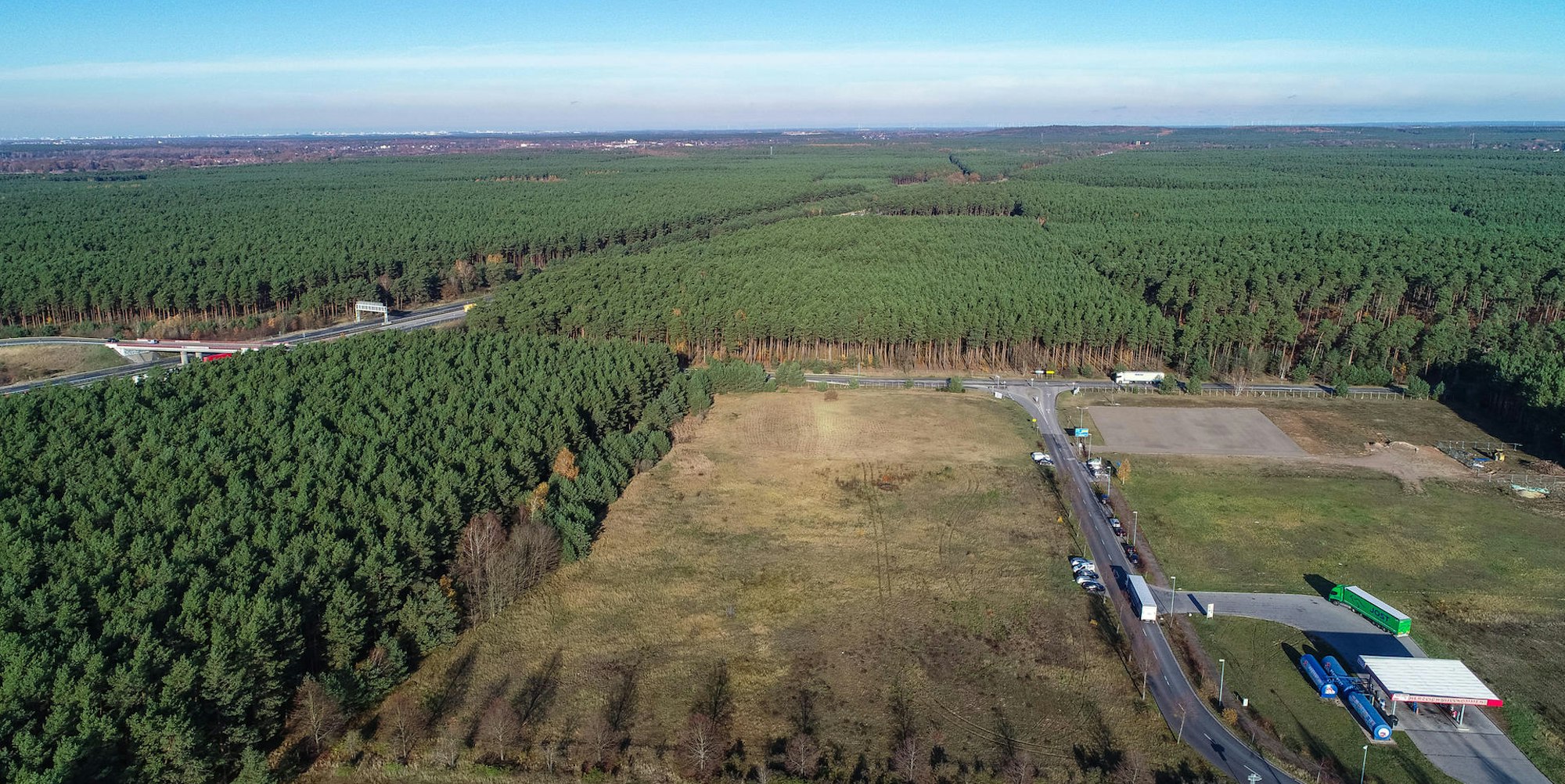 Tesla Gelände Brandenburg dpa