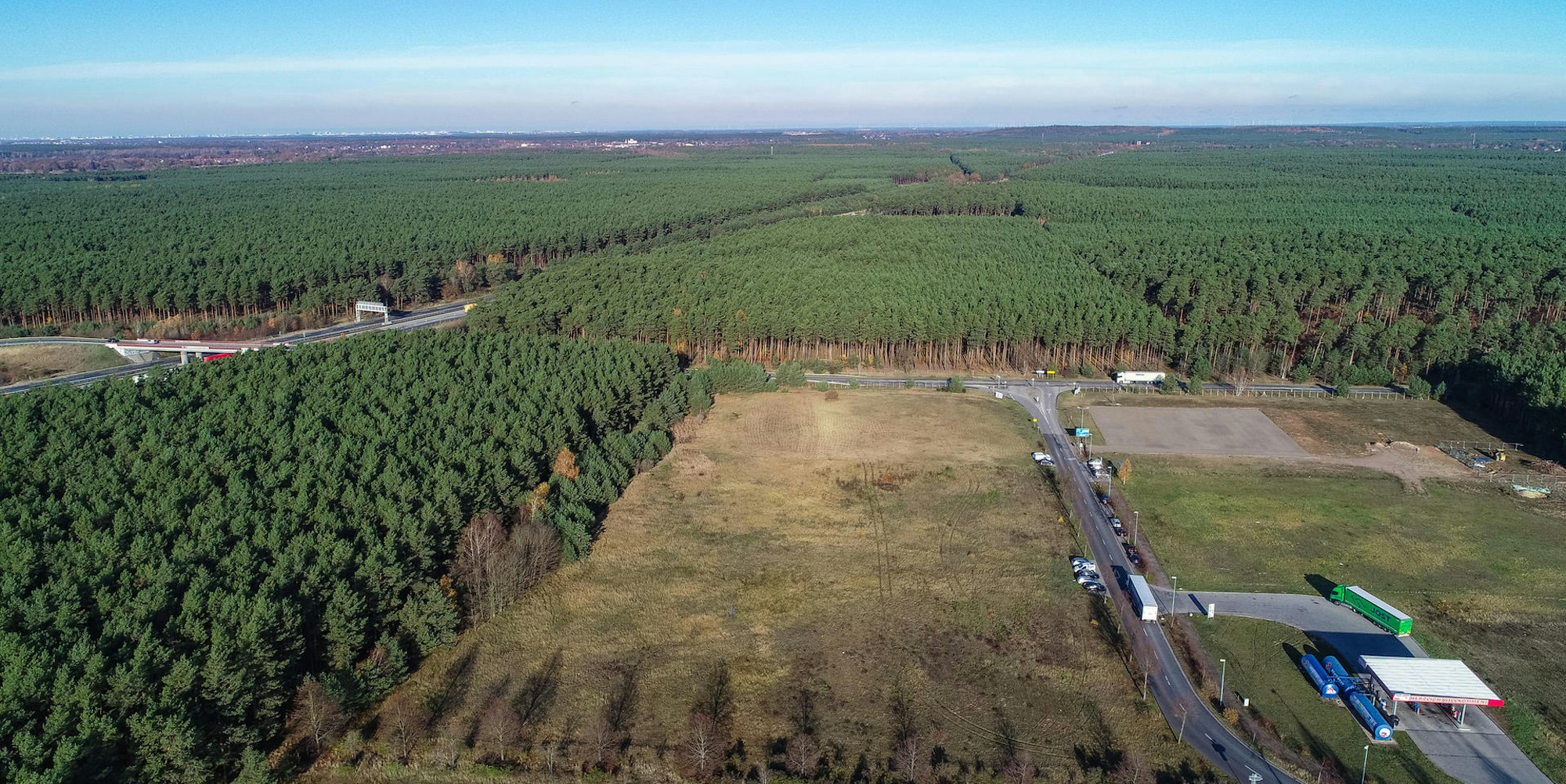 Tesla Gelände Brandenburg dpa