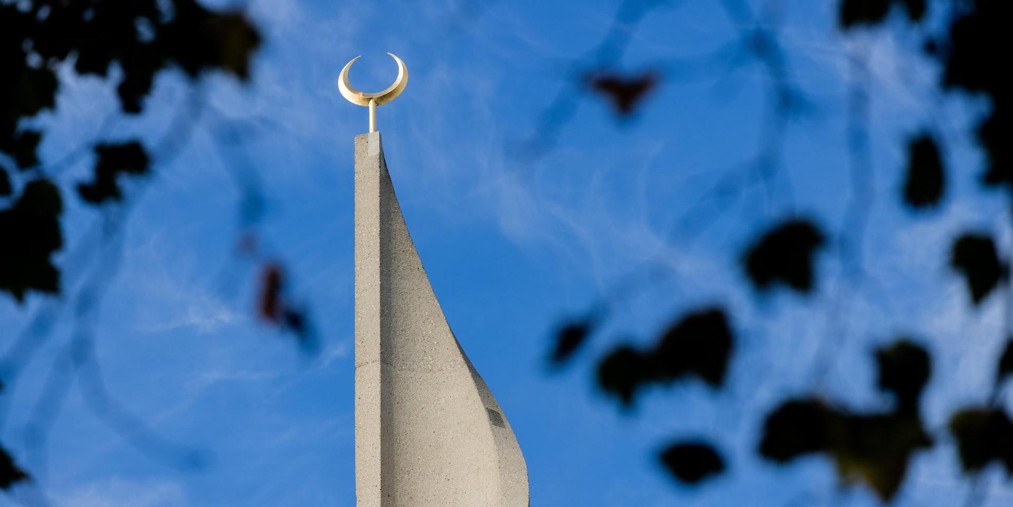 Neuer Inhalt (3)