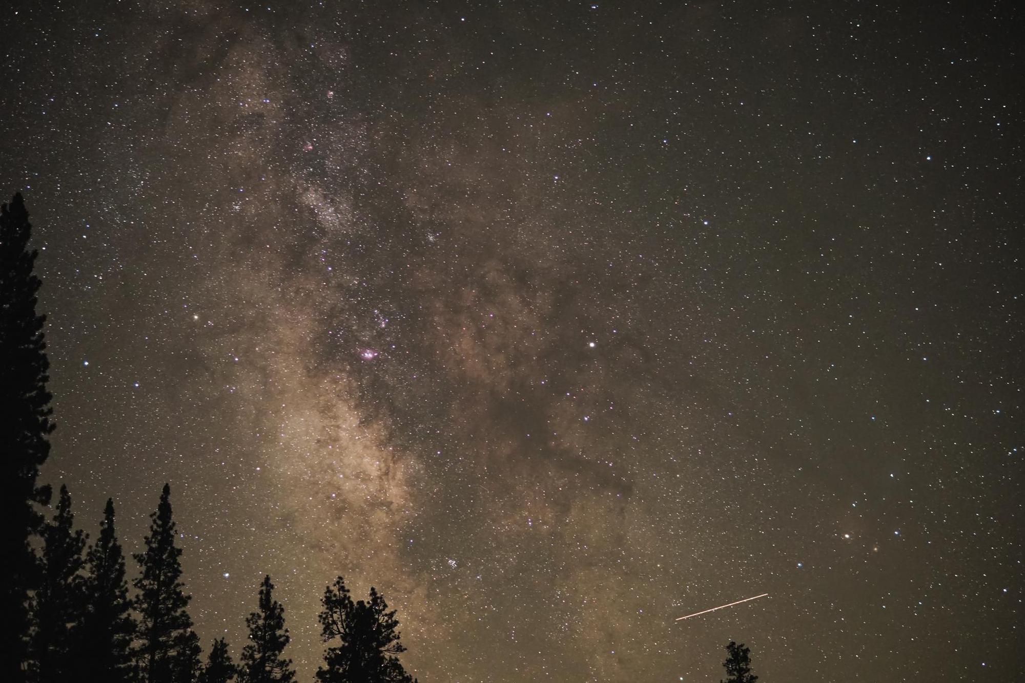 Sternschnuppen Symbol Wald brannon-naito-n3hCONIwzeY-unsplash