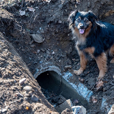 2022-03-24_Wipperfürth_Hunderettung_2