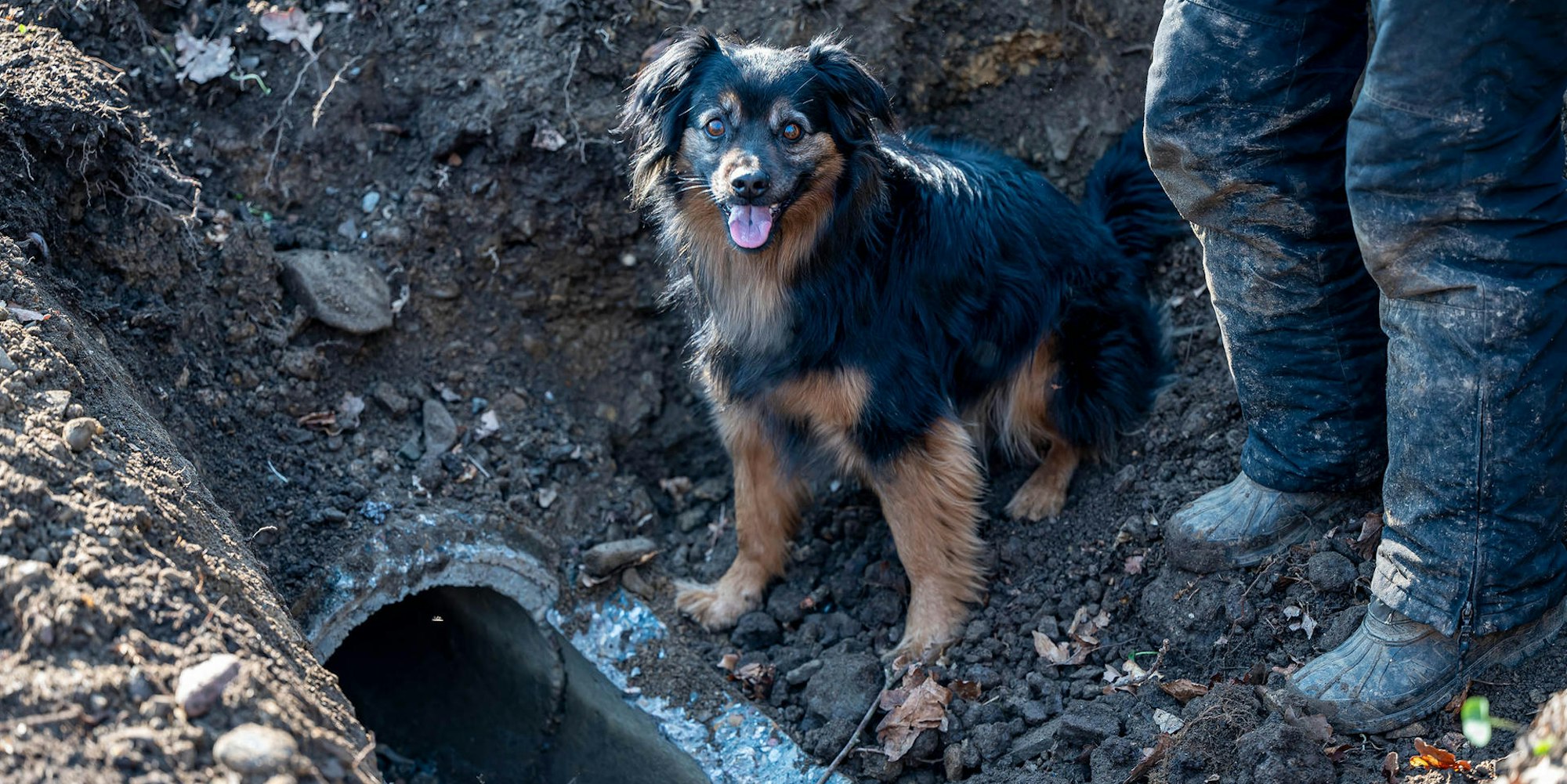 2022-03-24_Wipperfürth_Hunderettung_2