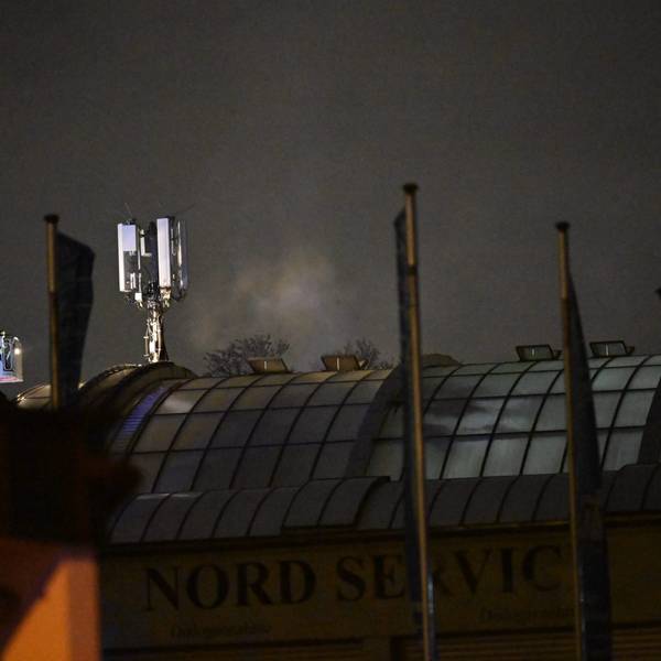Brand im Zoo2