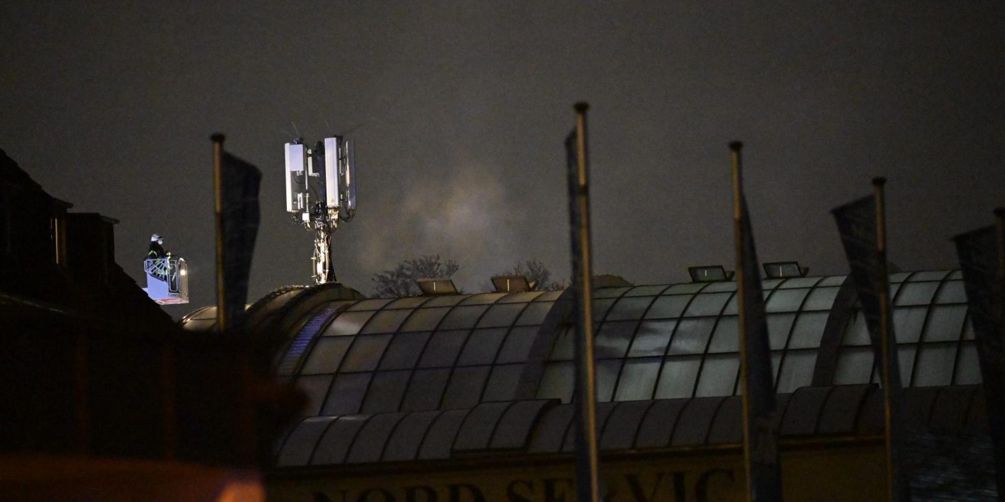 Brand im Zoo2