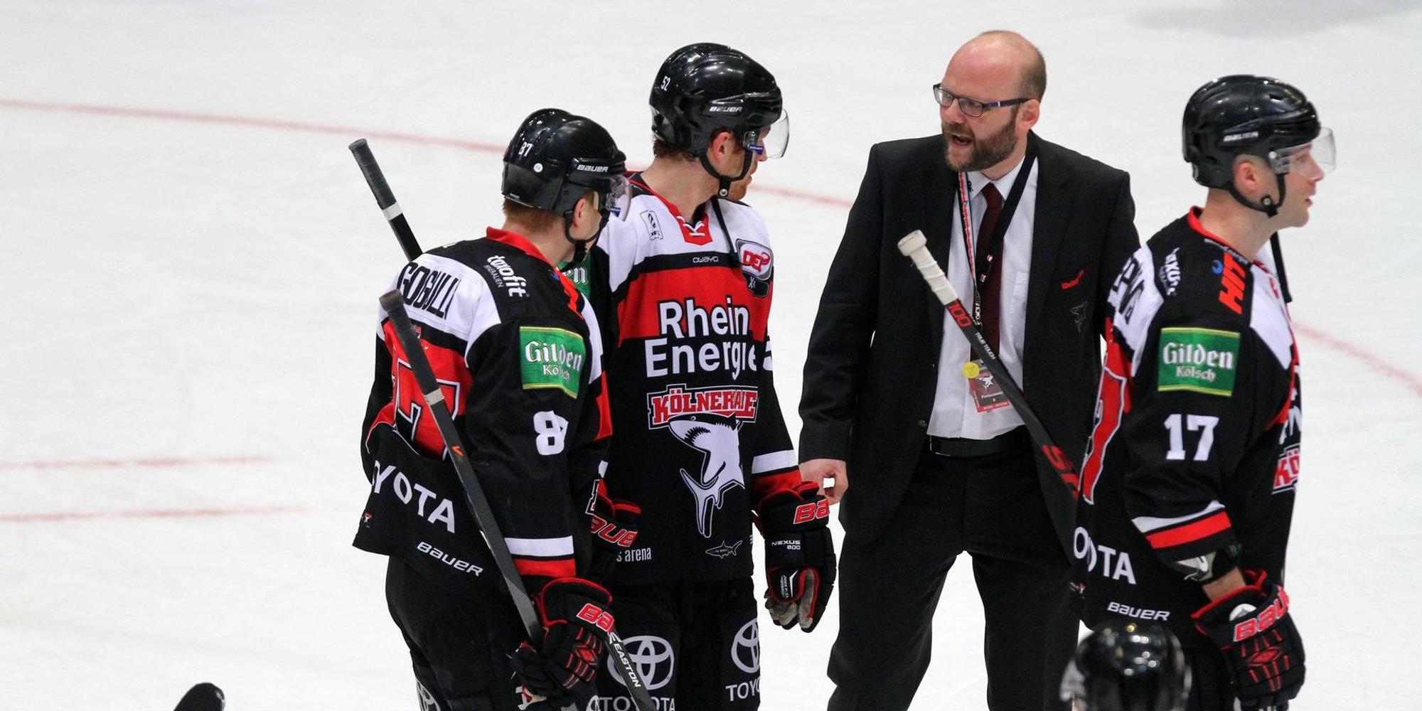 Philipp Walter Kölner Haie