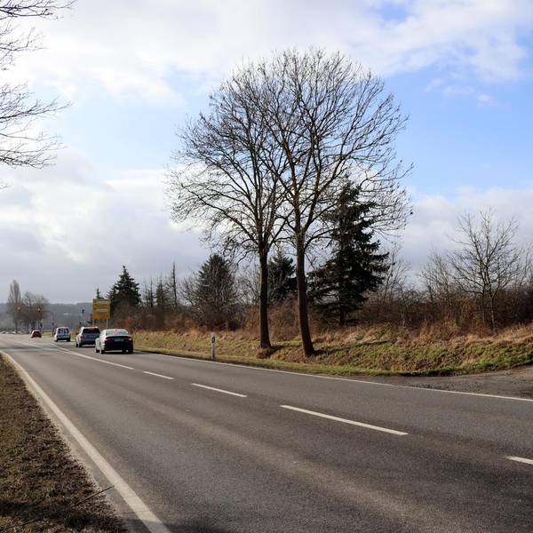 Radweg Arloff_001