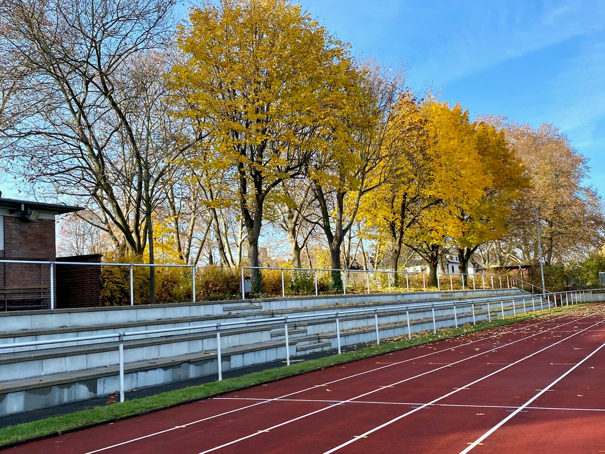 Wesseling_Ahornbäume-Stadion-Symbol