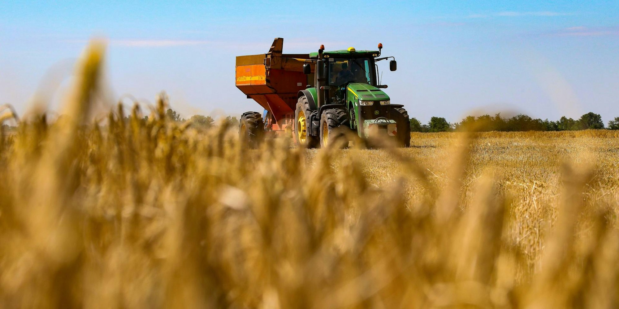 Weizenernte in Odessa