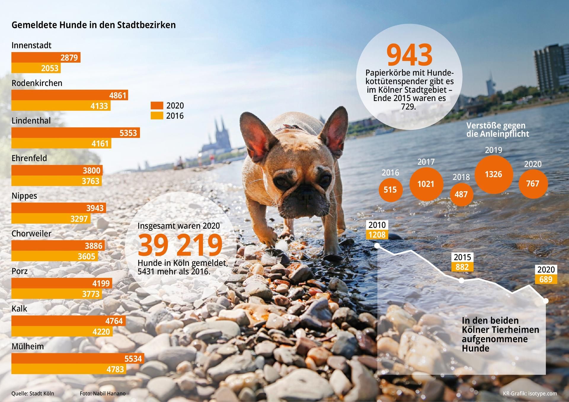 Hundehalter_in_Koeln