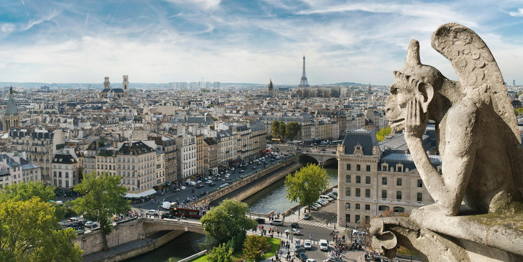 Paris_Wasserspeier Notre Dame