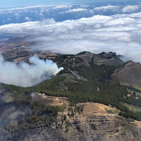 Waldbrand Gran Canaria