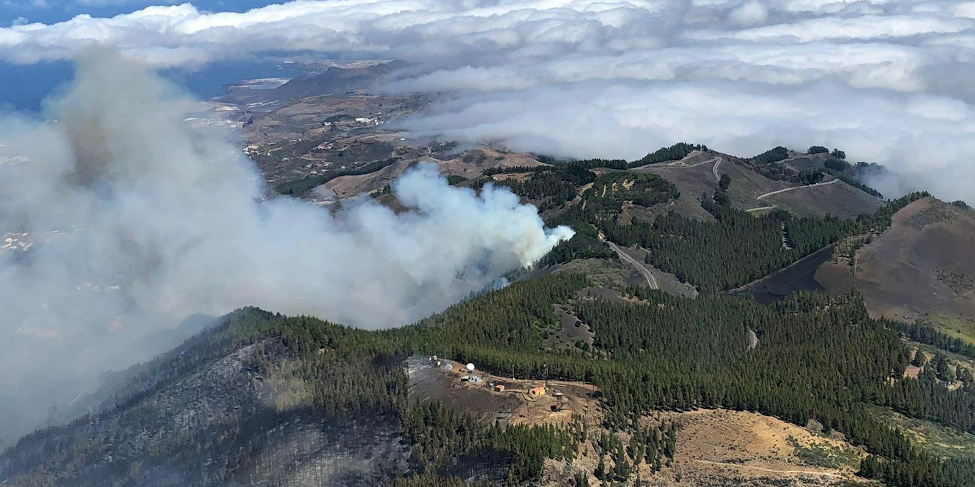 Waldbrand Gran Canaria