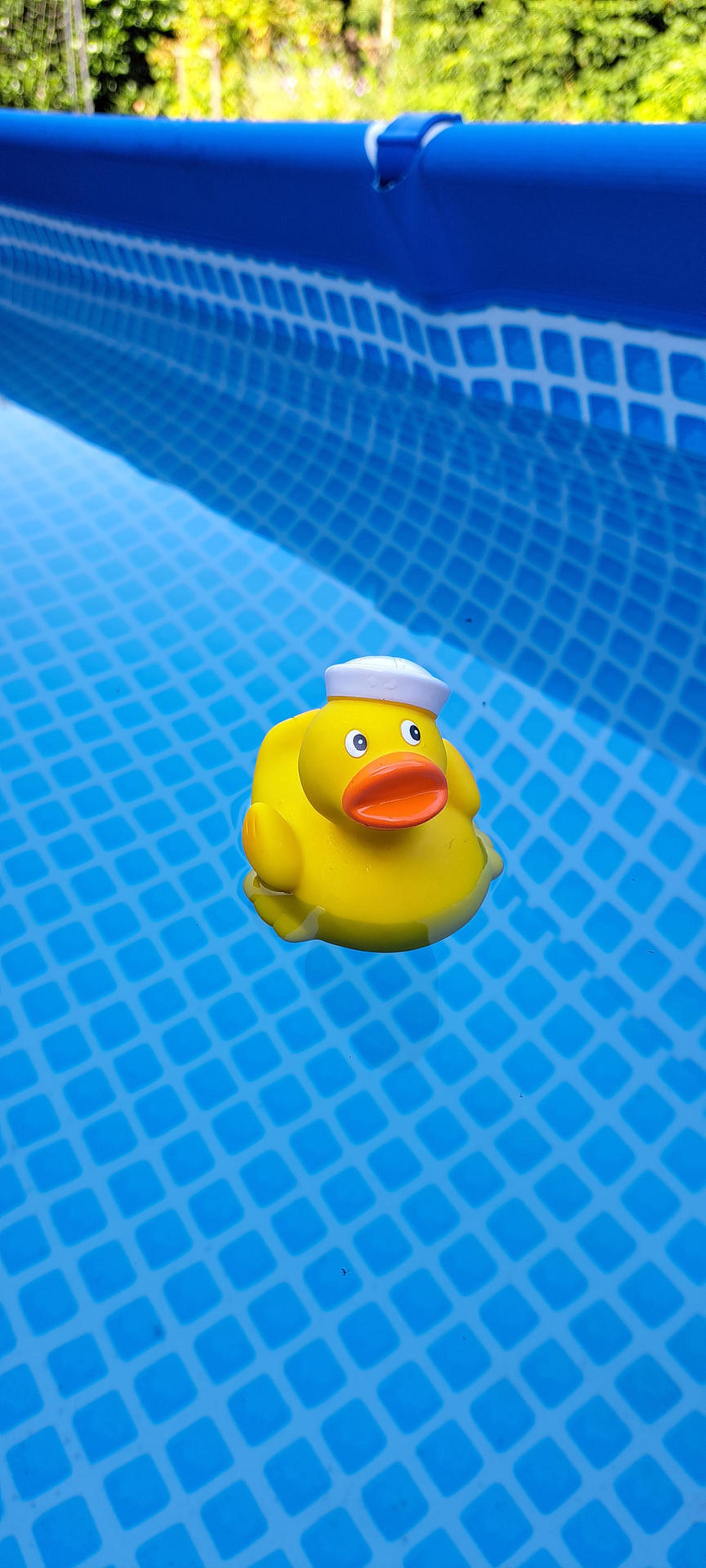 Ente 190722