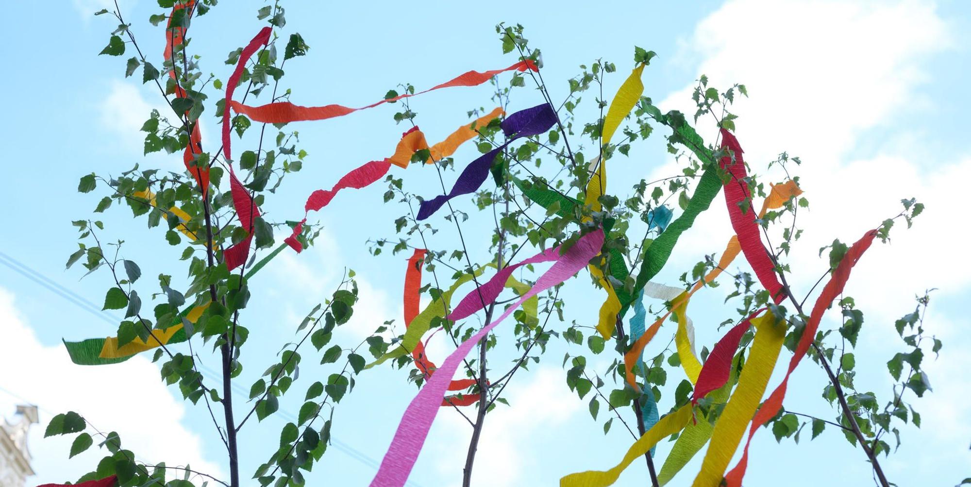 cob_20220427_Maibaum_4