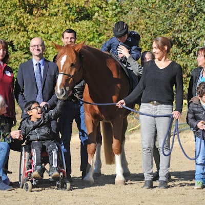 wu-reit-therapie_(1)