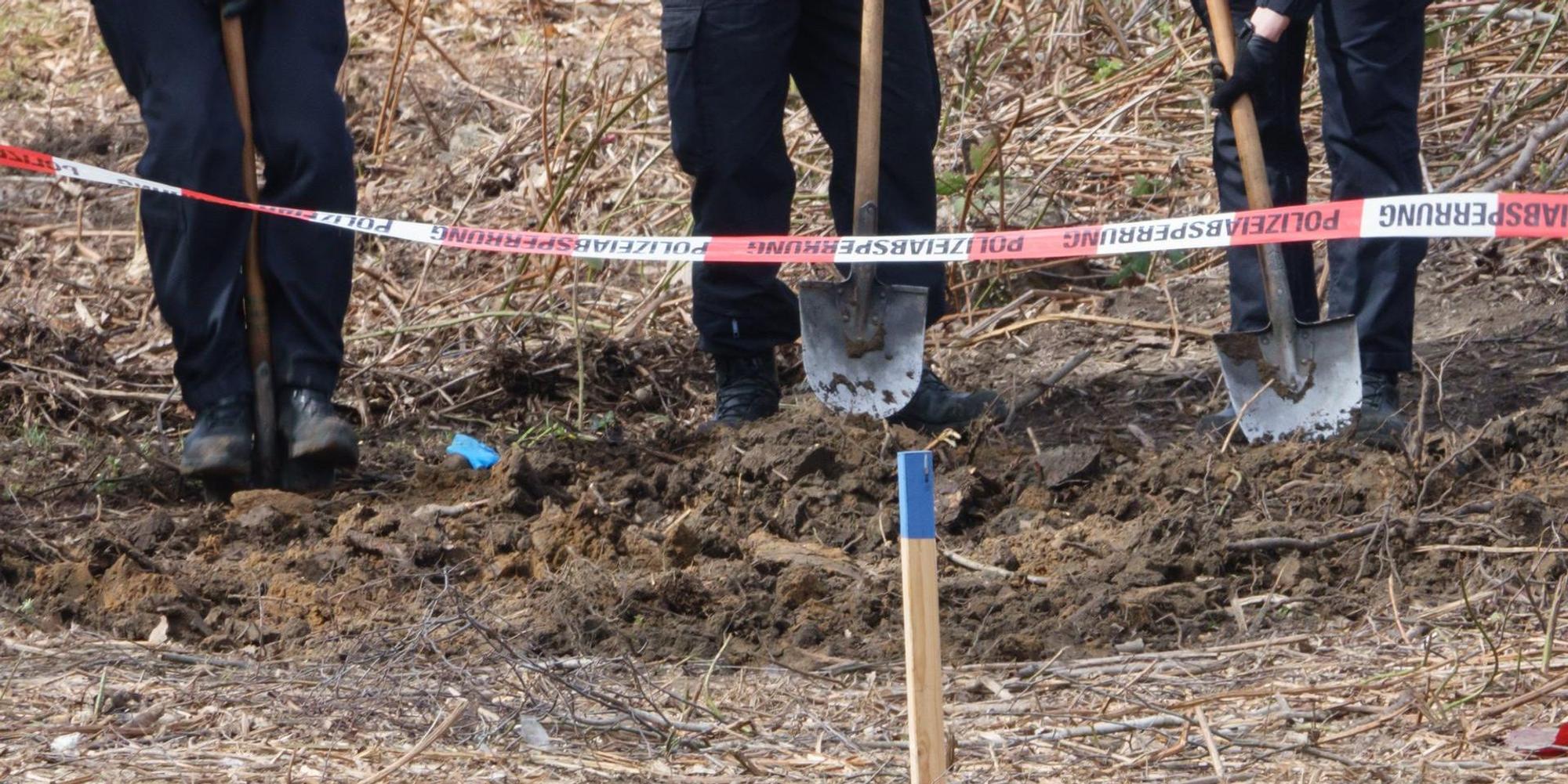 Braunchweig Waldstück