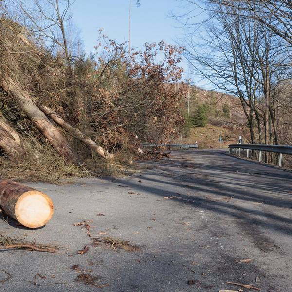 Bild Sturmschaden 20220223