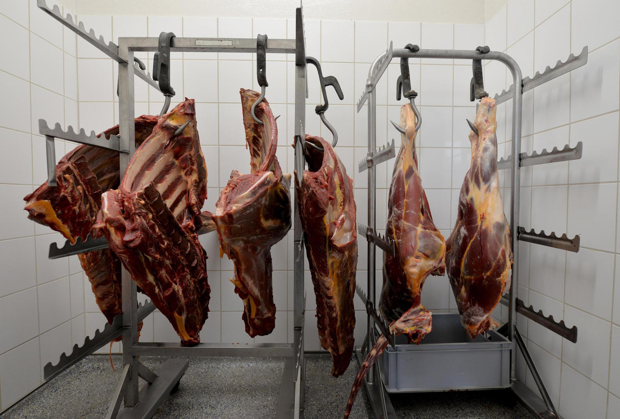 Fleisch