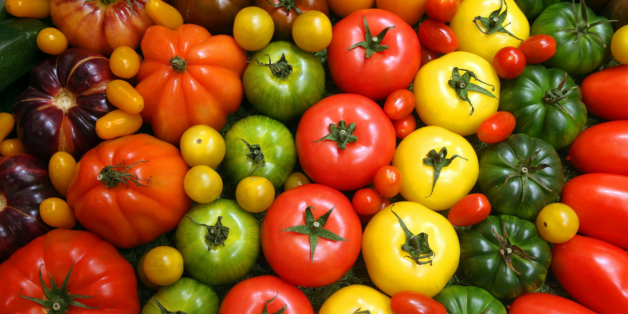 Gruene_Woche_2020_64007599