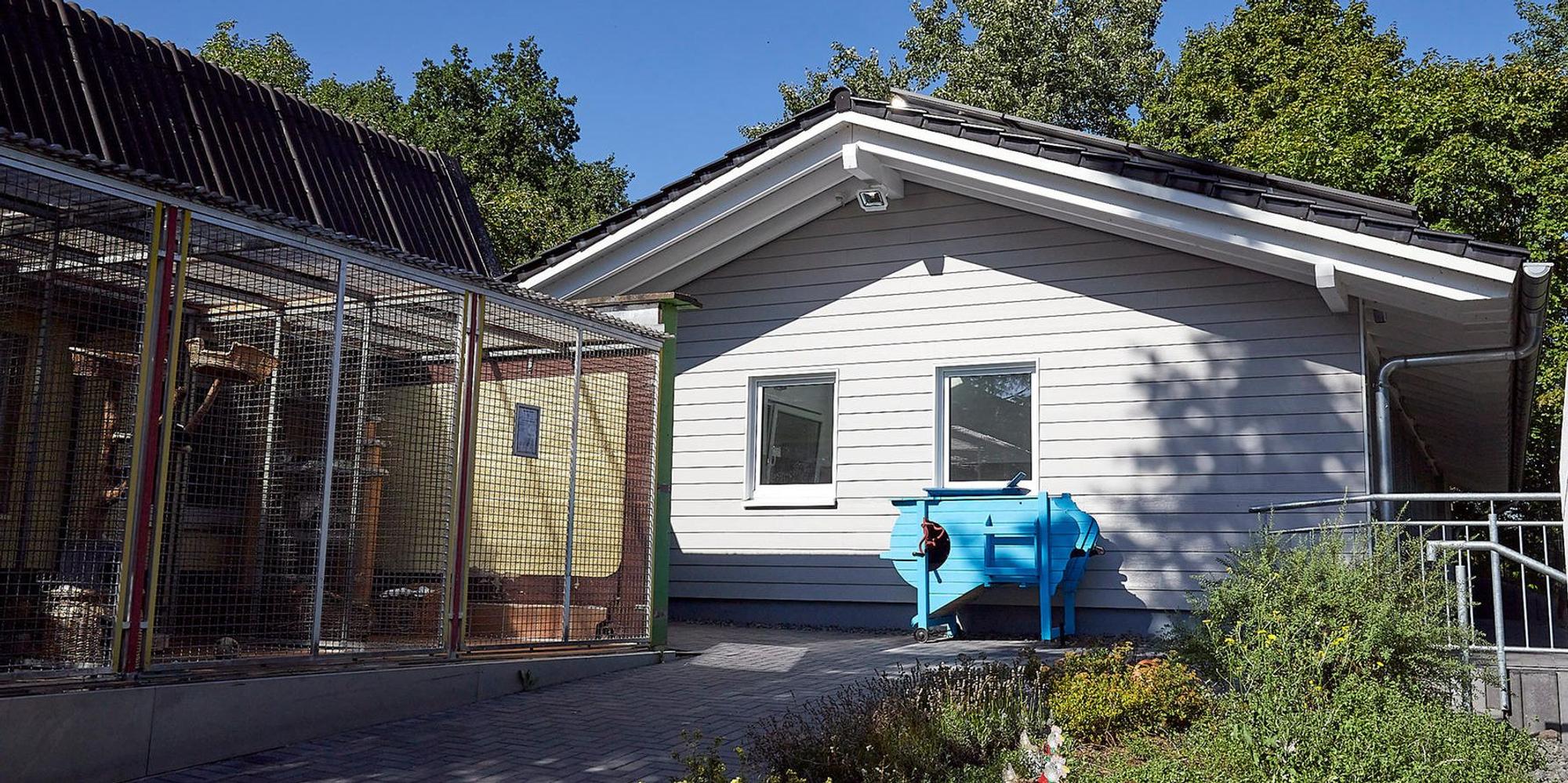 Mechernich Hundehaus_001