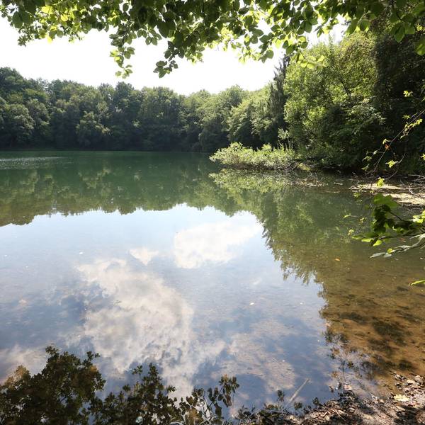himberger_see
