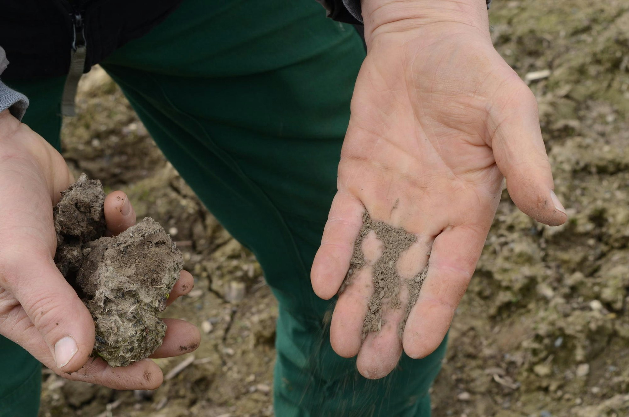 Klimakuh_Hennef_trockener_Boden