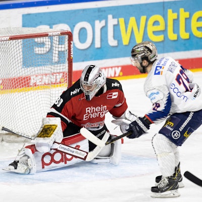 Kölner Haie Iserlohn