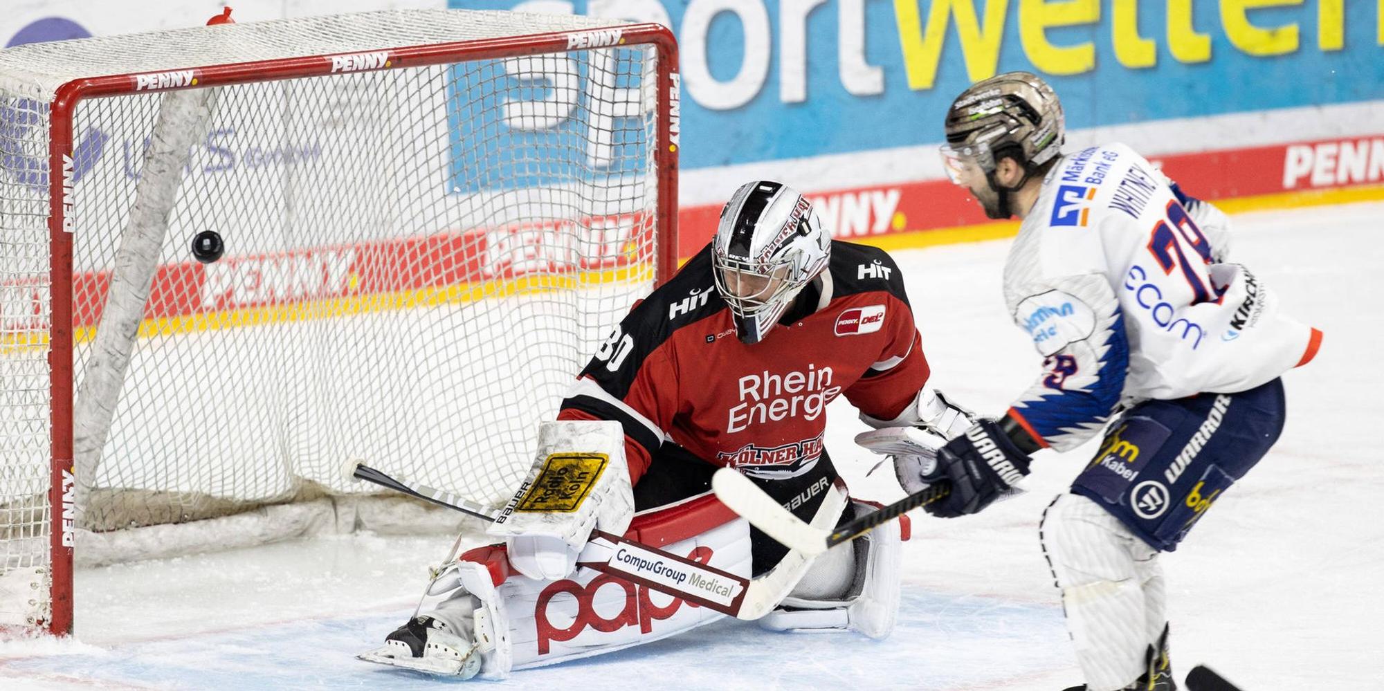Kölner Haie Iserlohn