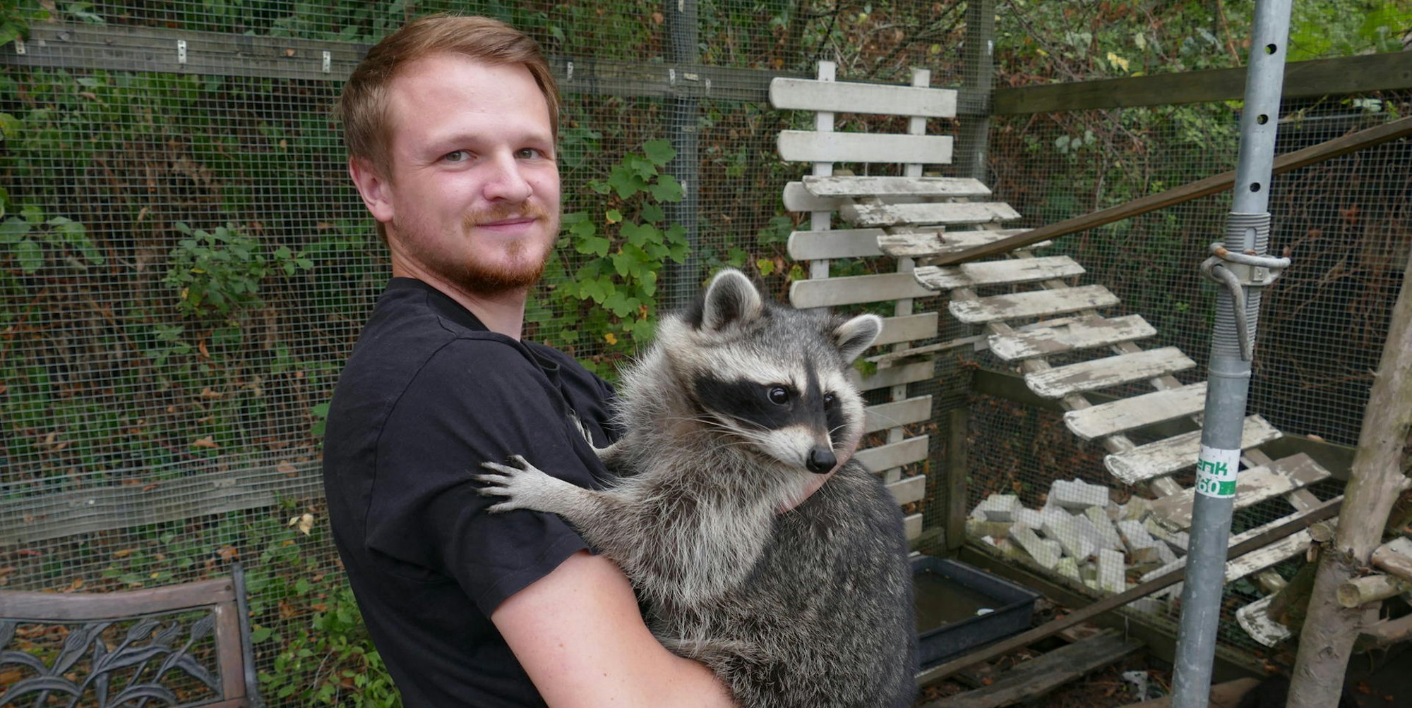20220831-mfu-waschbaeren2