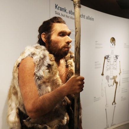 Neandertaler 2