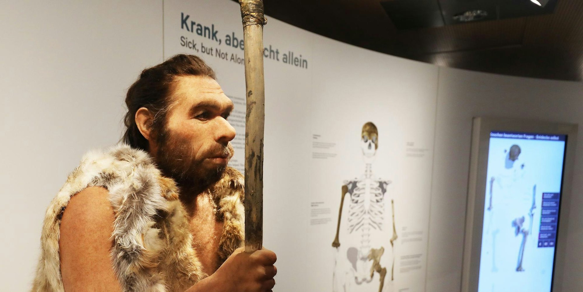 Neandertaler 2