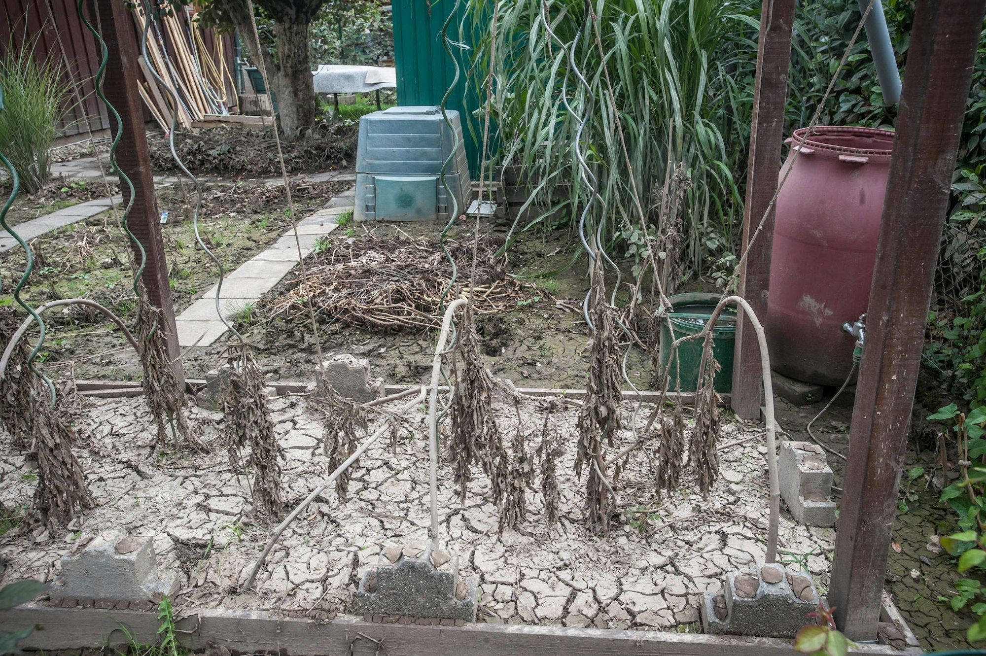 ruhlach_schrebergarten_RLE_Leverkusen08062021ALF_6862