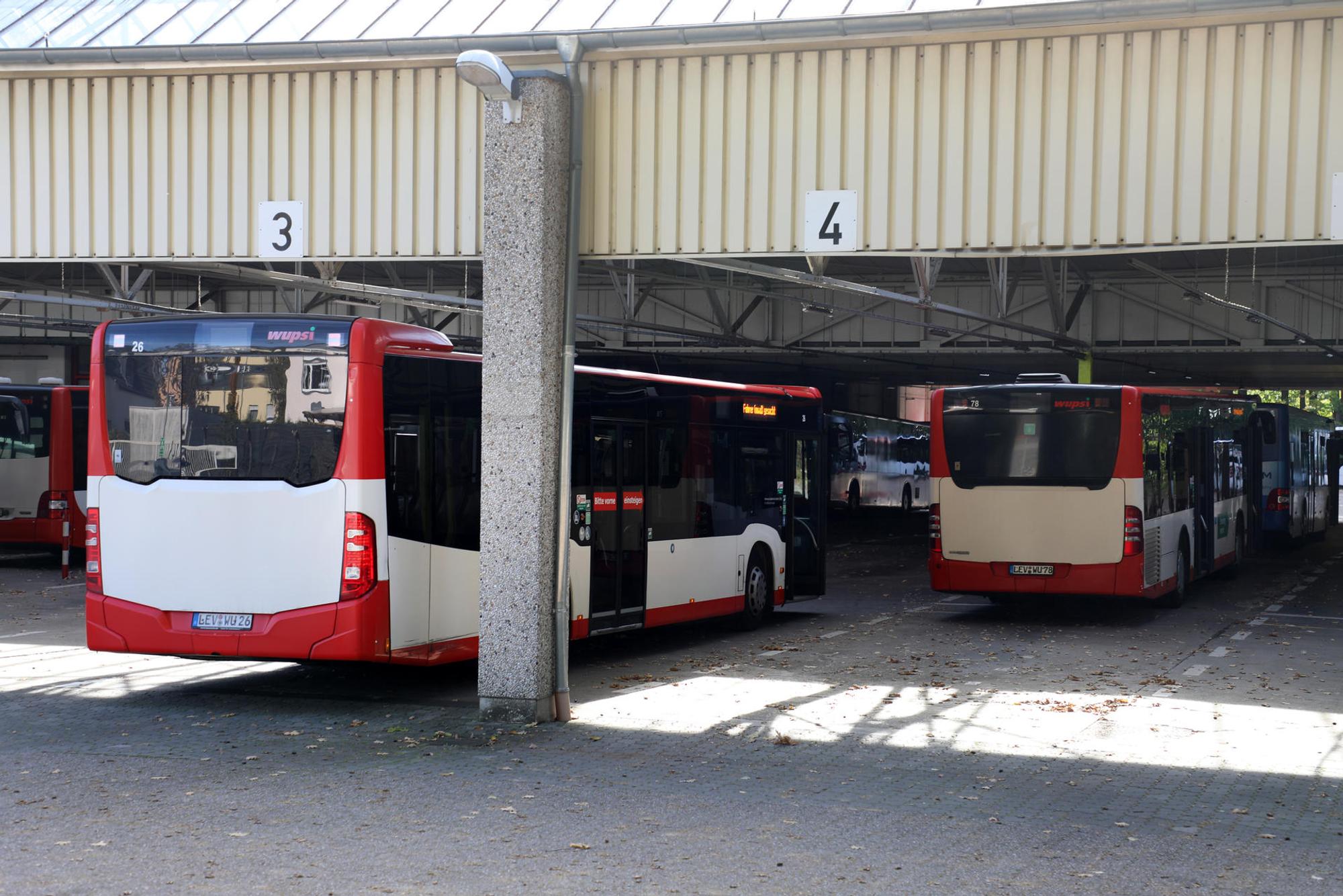Wupsi Busse