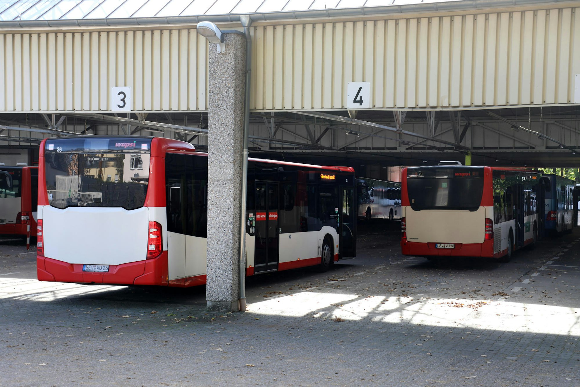 Wupsi Busse