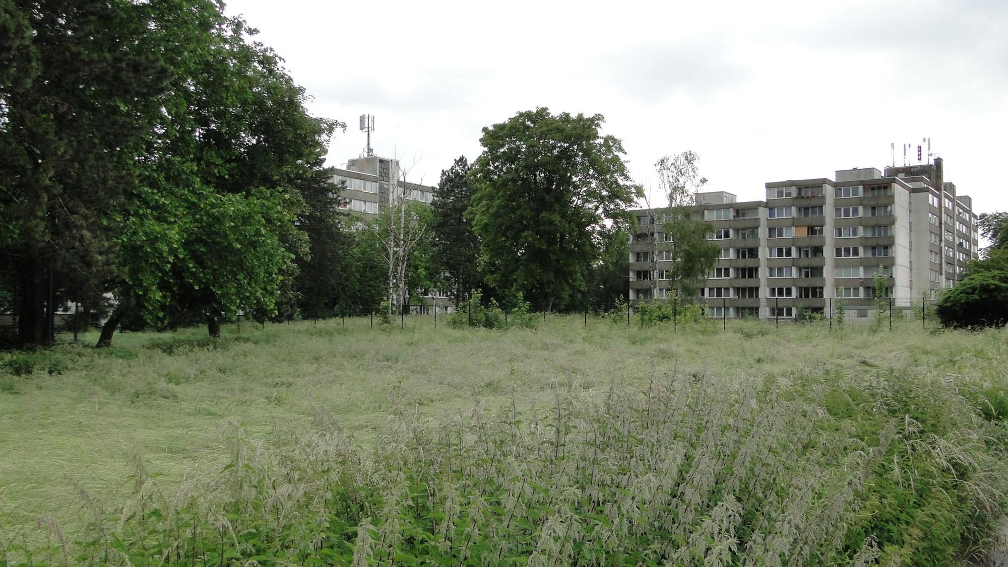Neuer Inhalt (2)