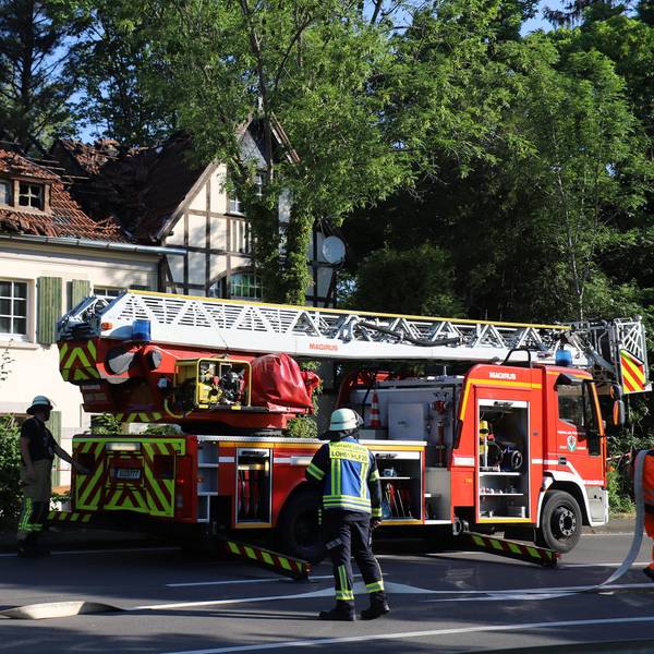 Neuer Inhalt