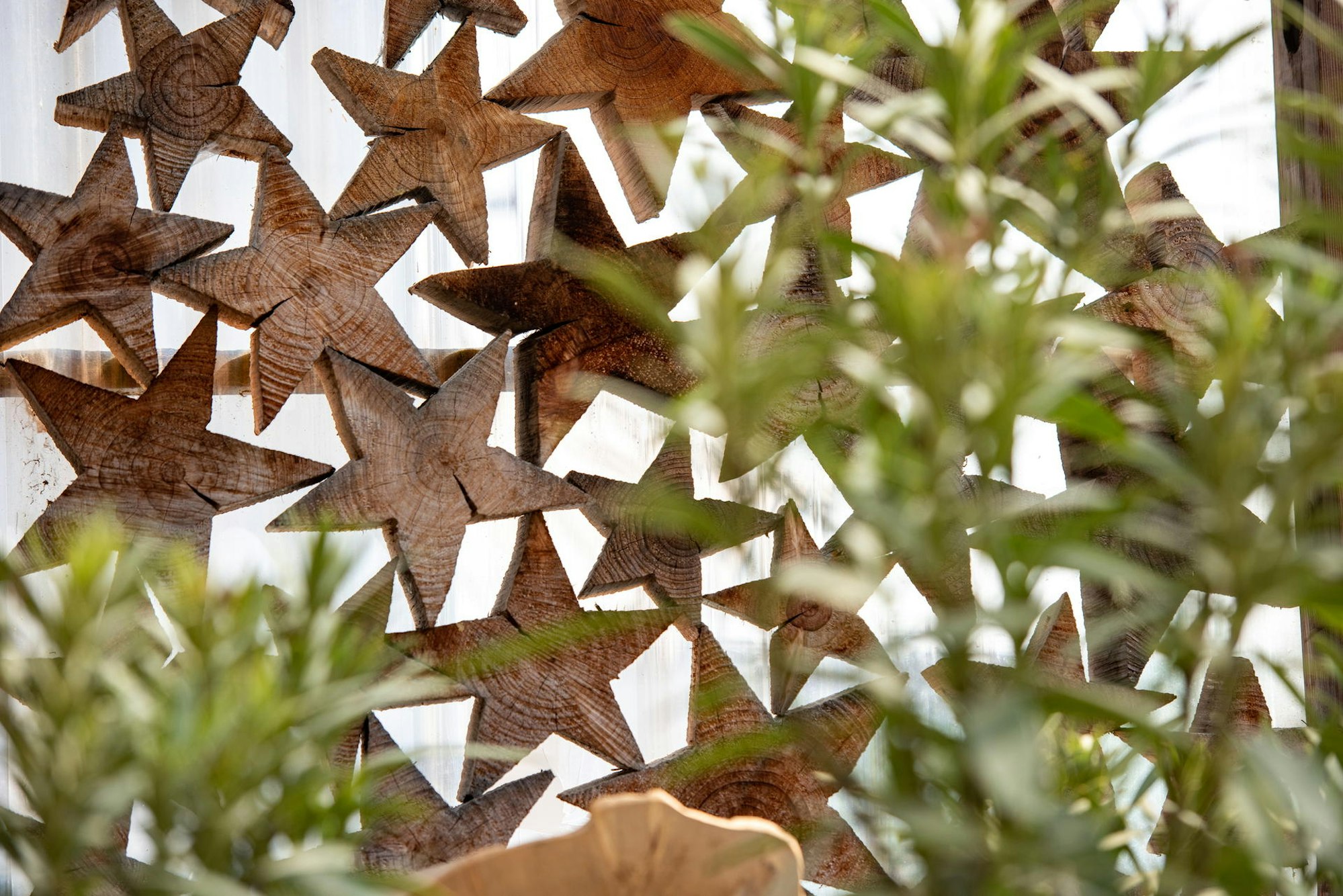 190430_uw_Stadtwaldholz_003