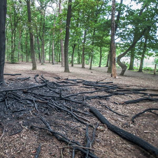 leverkusen-brandstelle-hornpottweg-naturschutzgebiet-ALF