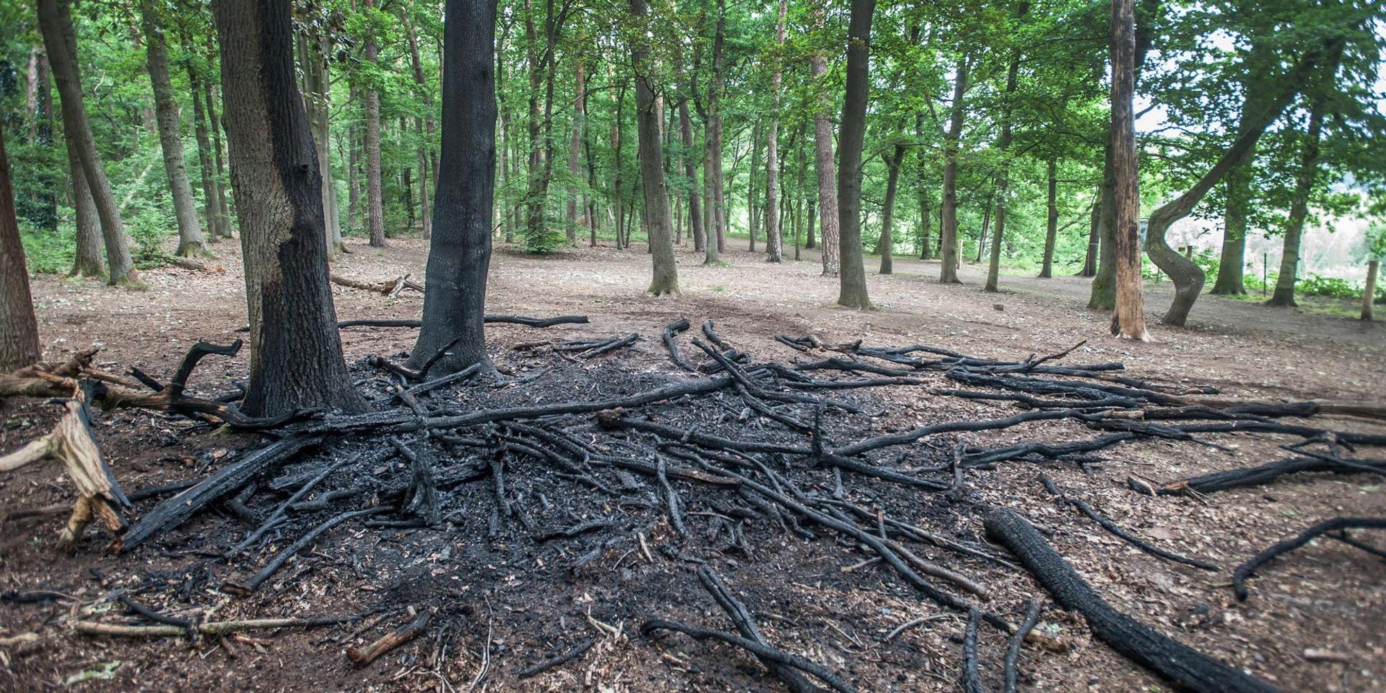 leverkusen-brandstelle-hornpottweg-naturschutzgebiet-ALF