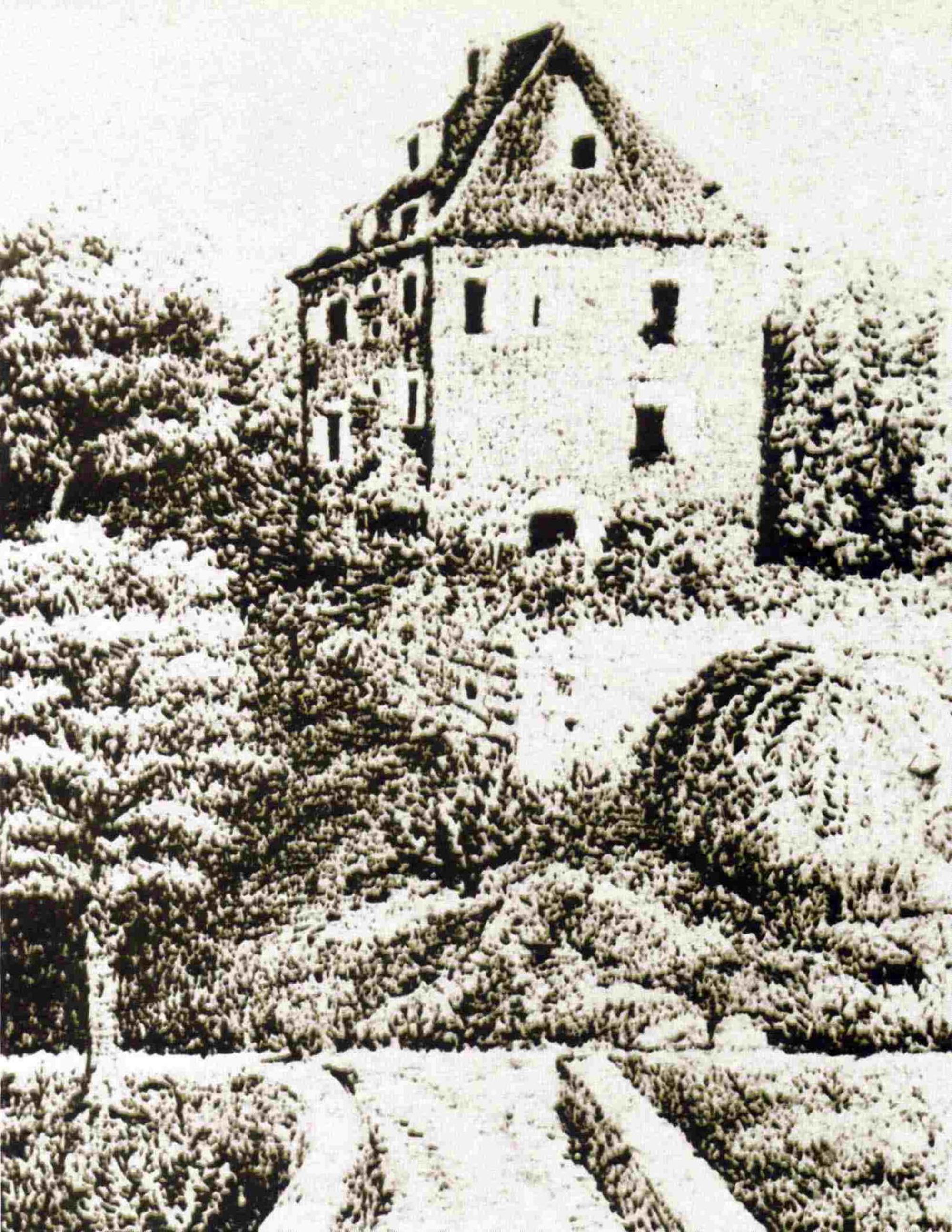 Burg_Bieberstein (1)