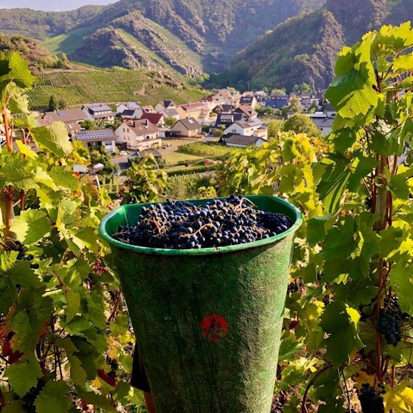 weinkübel mayschoss ahrtal