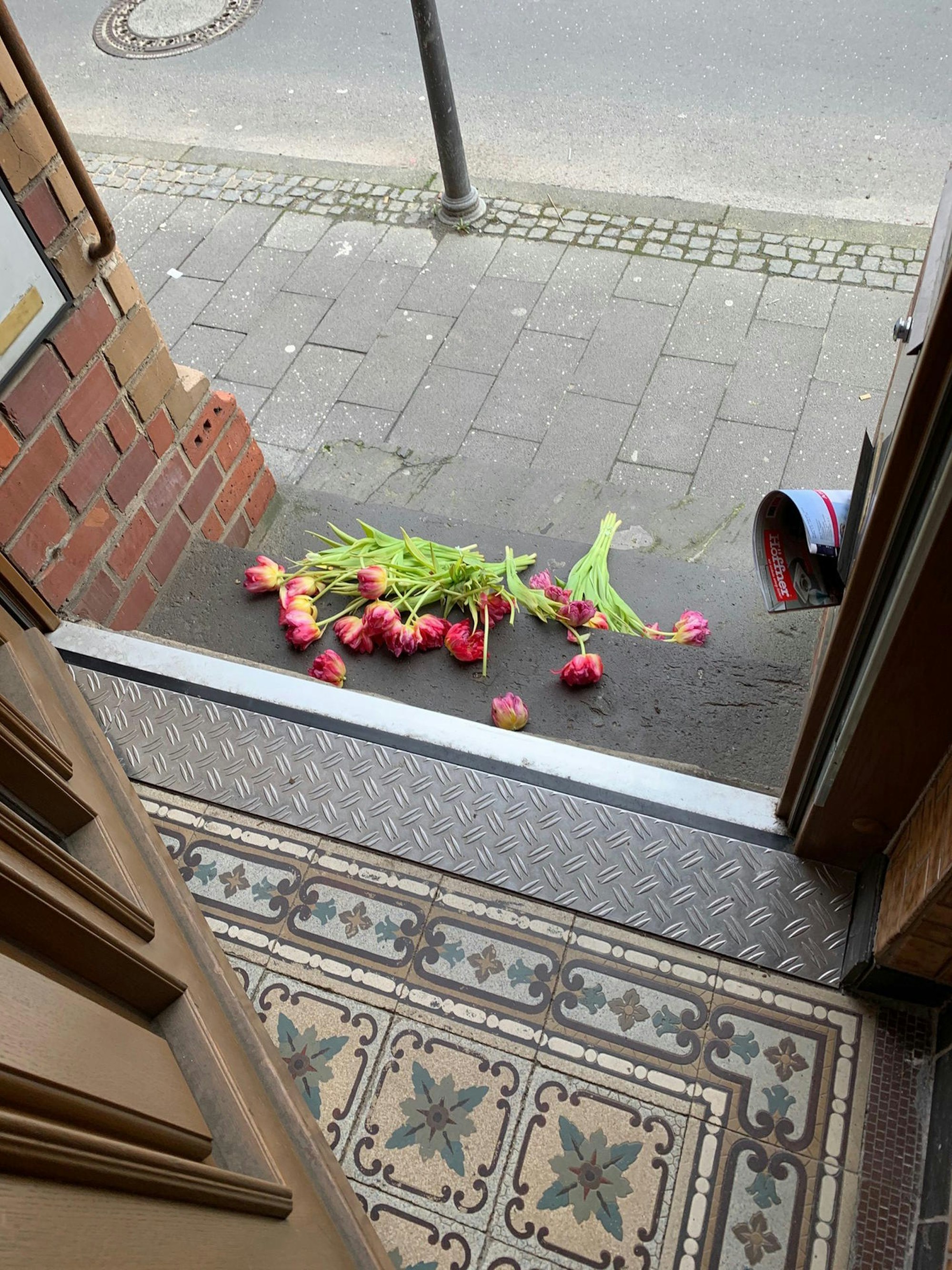 blumen fdp siegburg