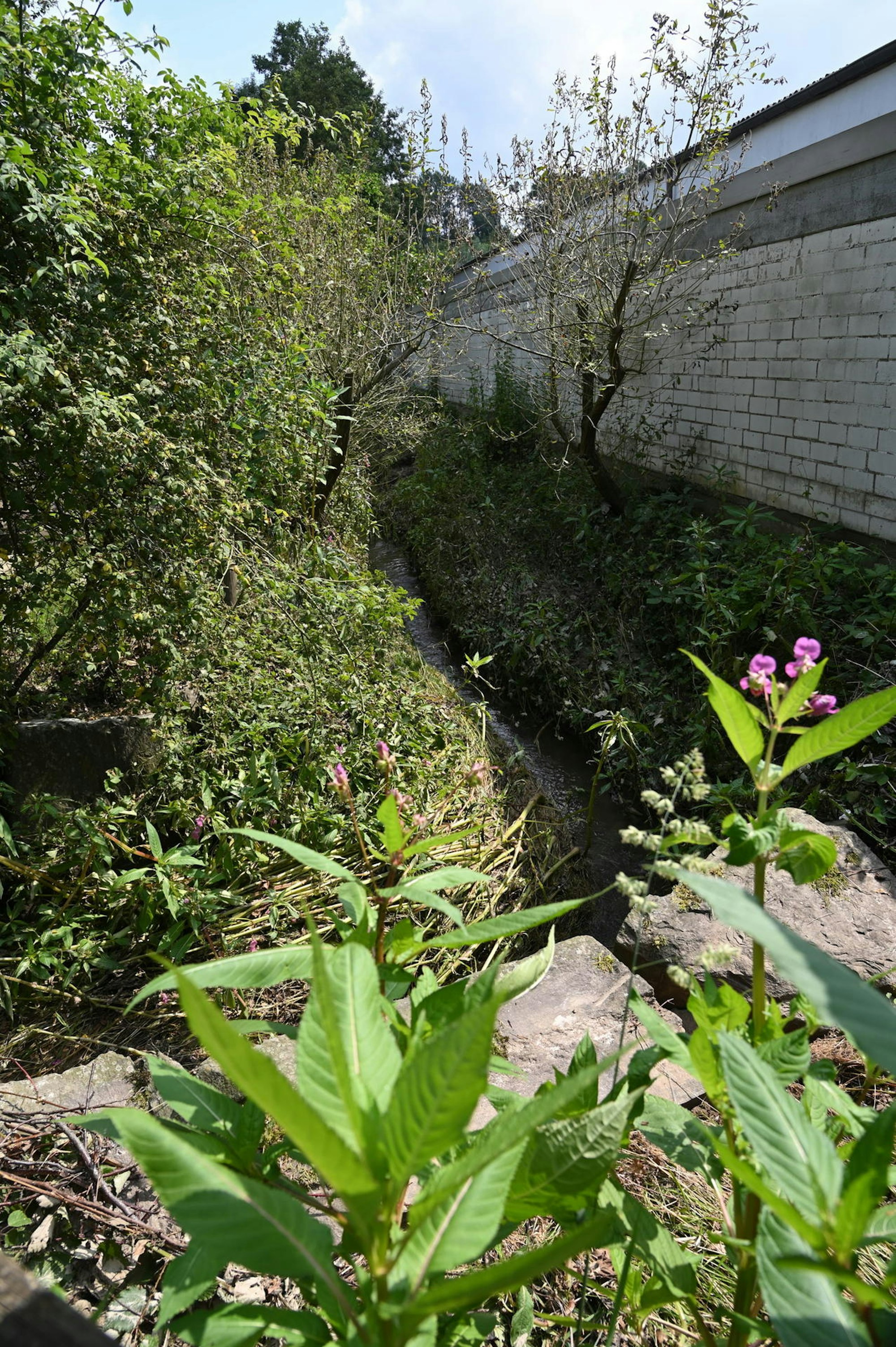 Hebborner Bach 2 200721