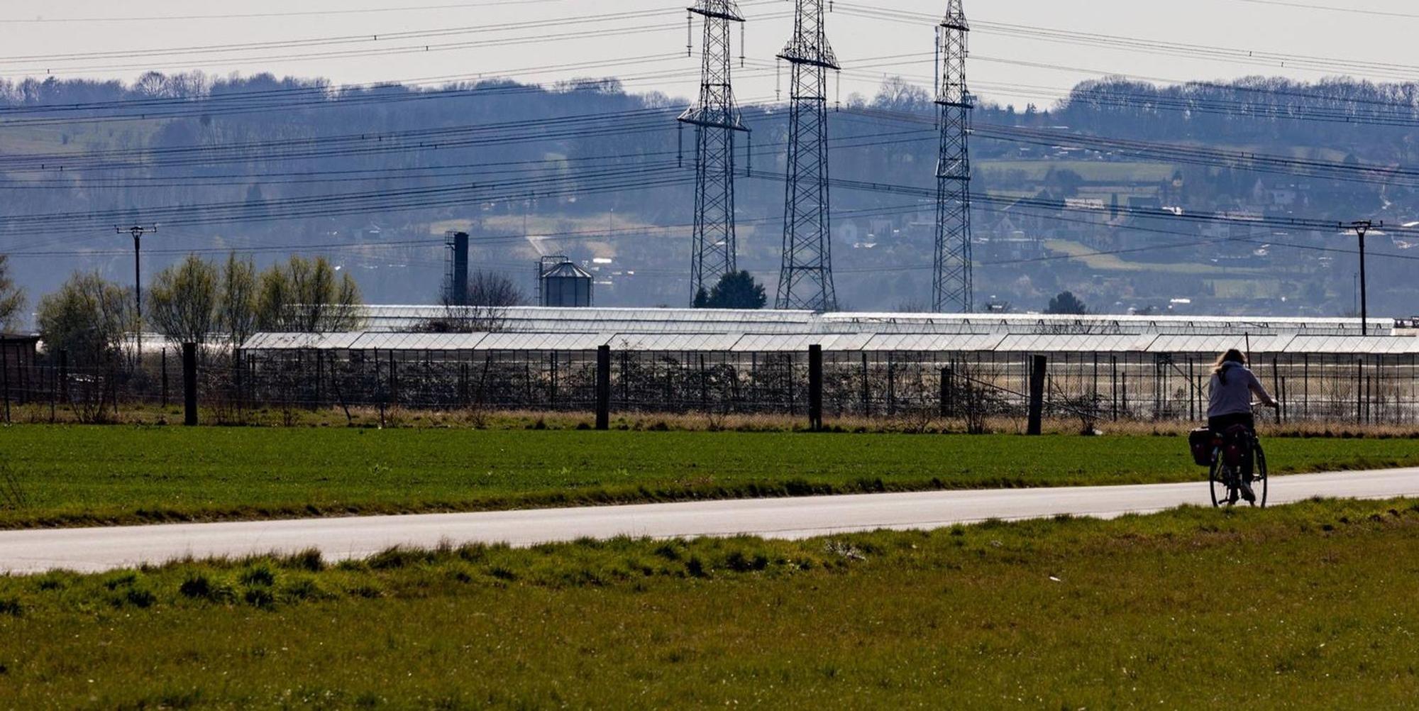 Solarpark_Bornheim