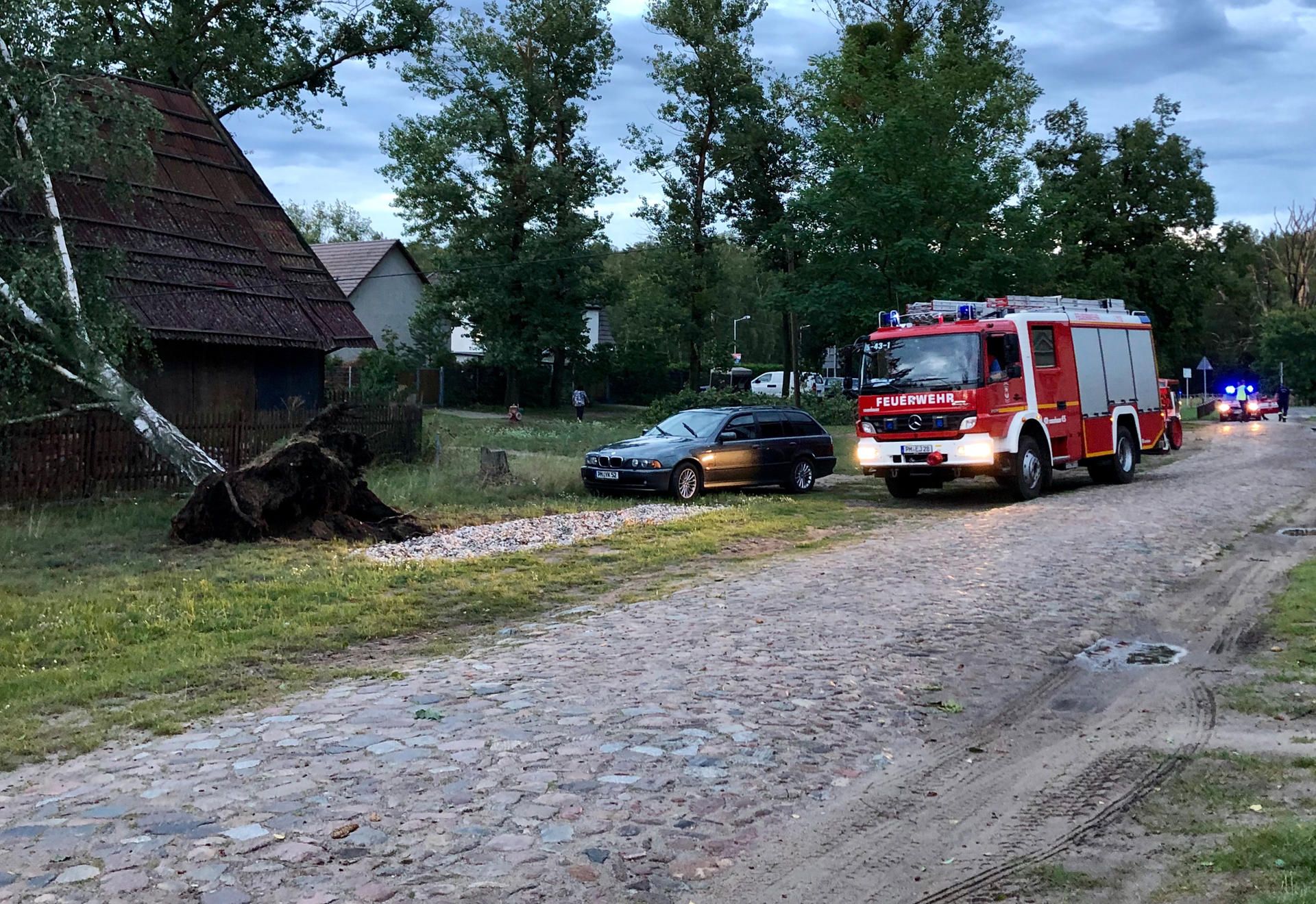 Unwetter brandenburg Baum