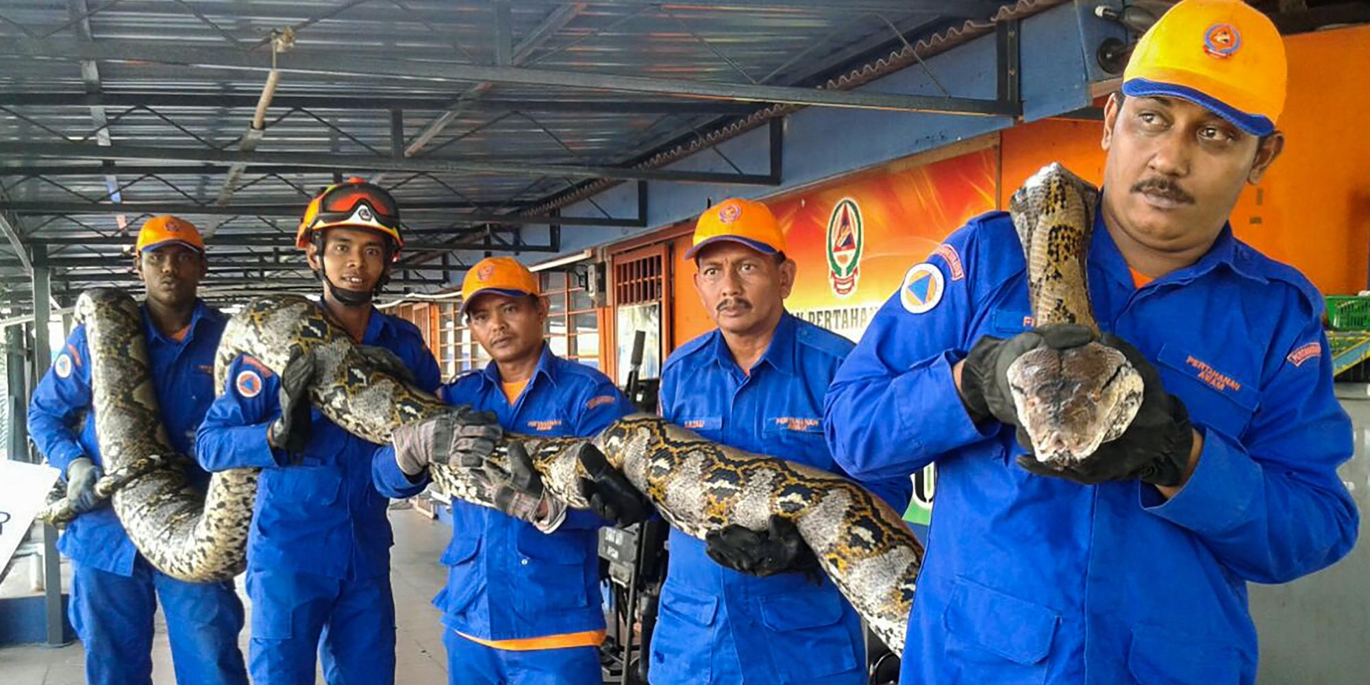 python2