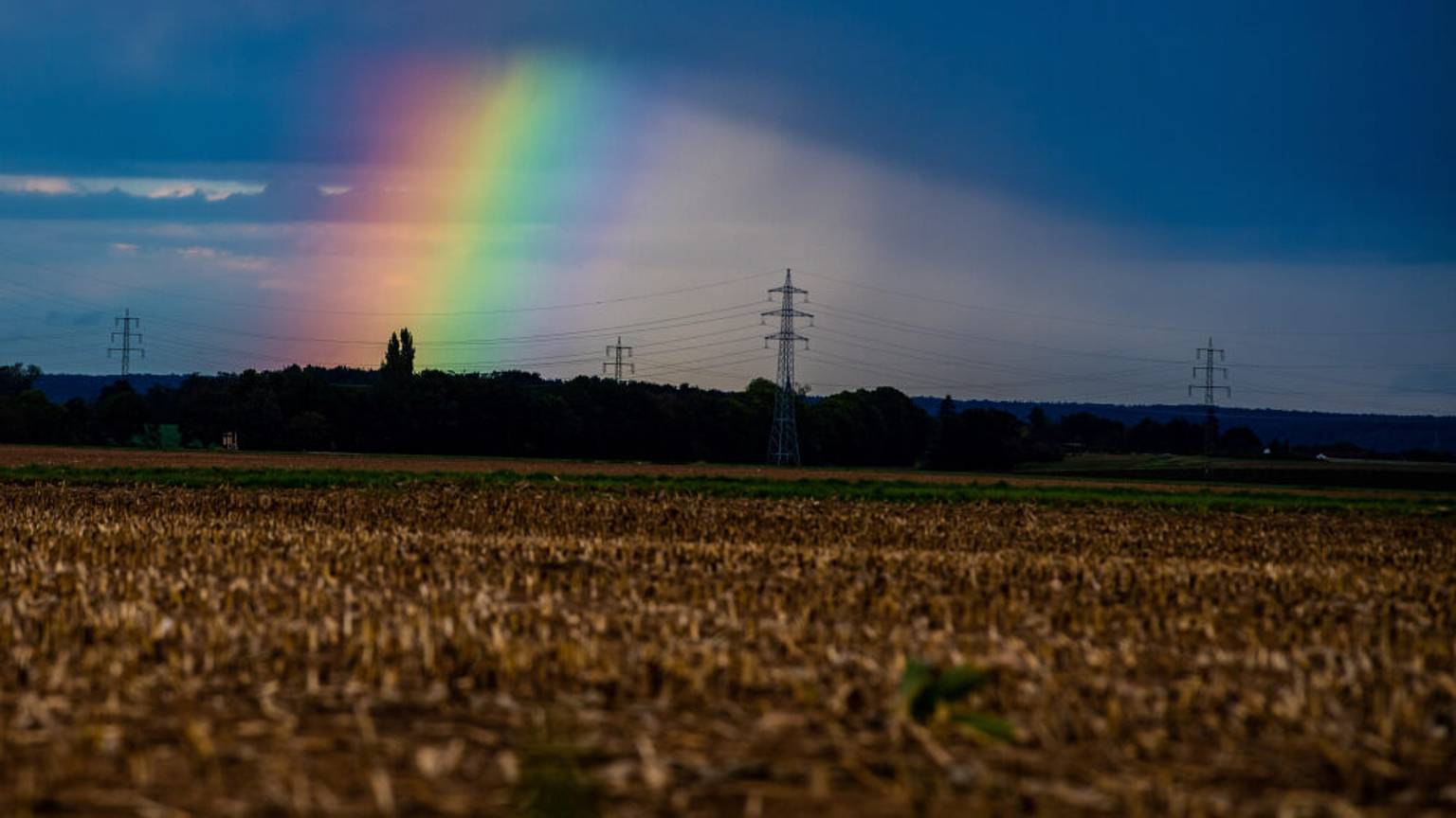 Regenbogen