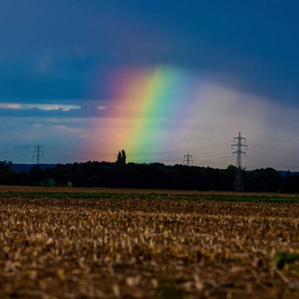 Regenbogen